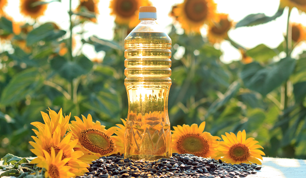Primary, Secondary & Field Efforts — FMCG